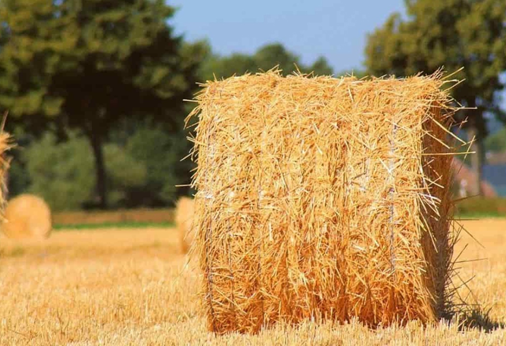 قیمت نخ دروگر کشاورزی